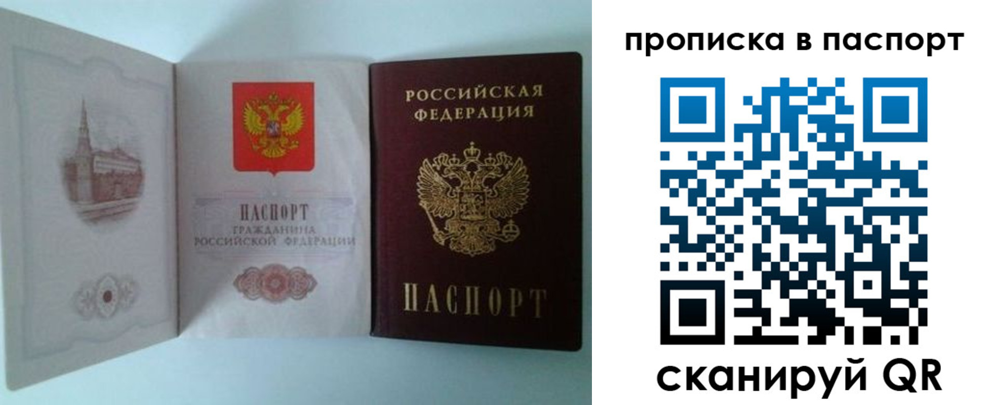 прописка в квартире в Светлограде